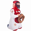 Baseball Catcher