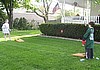 Jr Cornhole bean toss